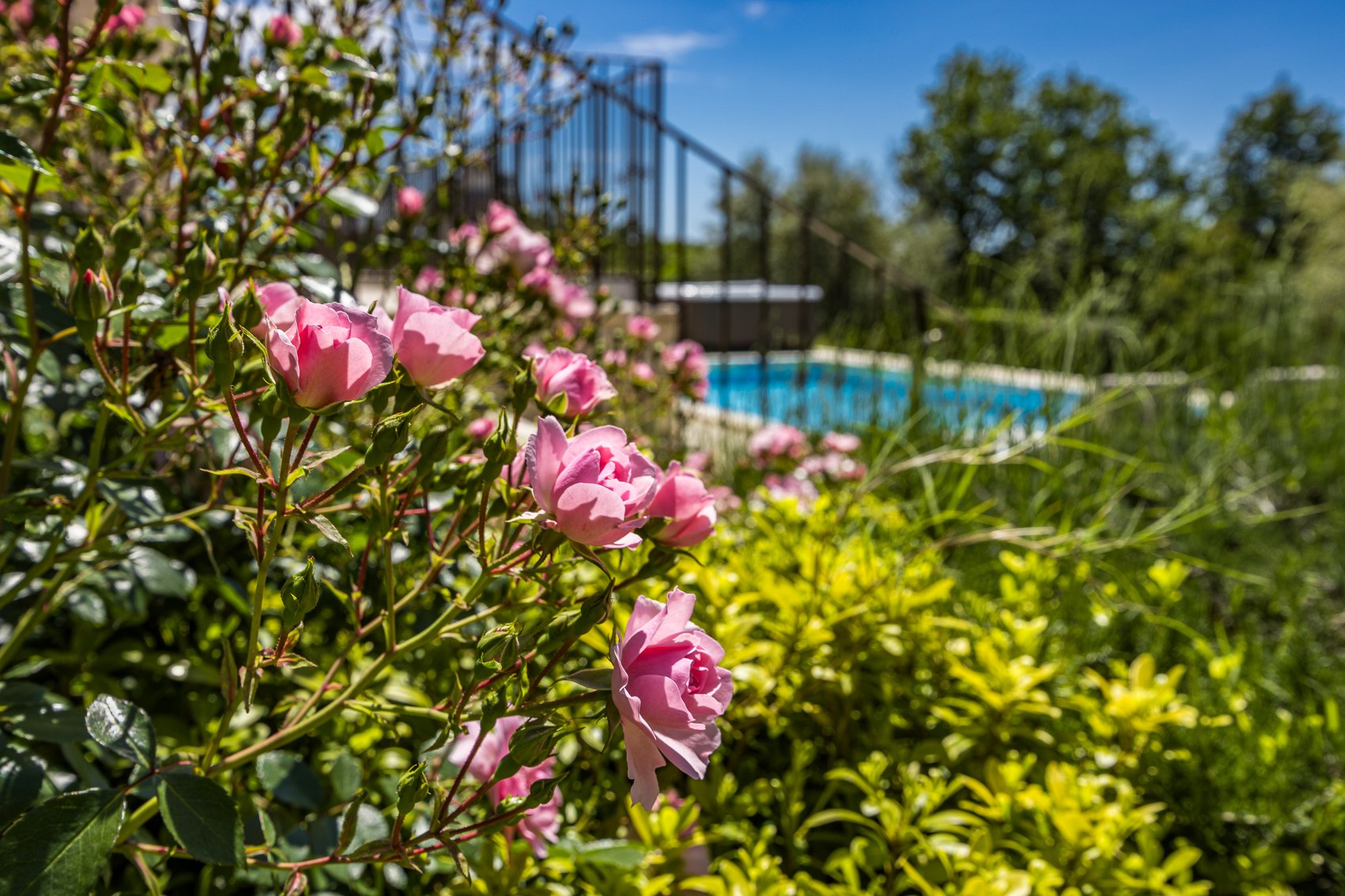 Fenced, pet-friendly garden at Villa Babudri